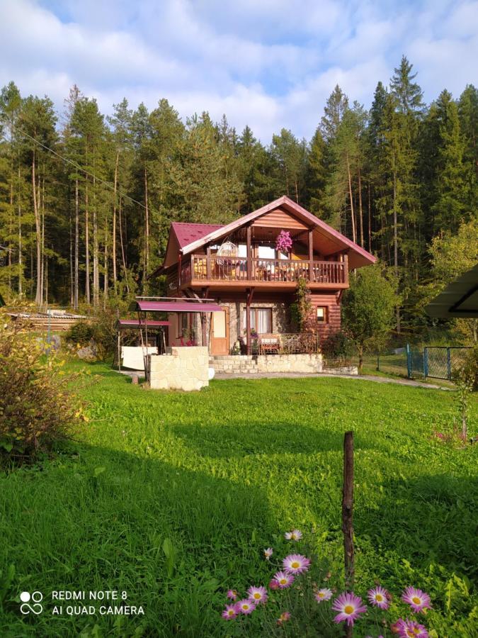 Лісова Казка Villa Yaremche Exterior photo
